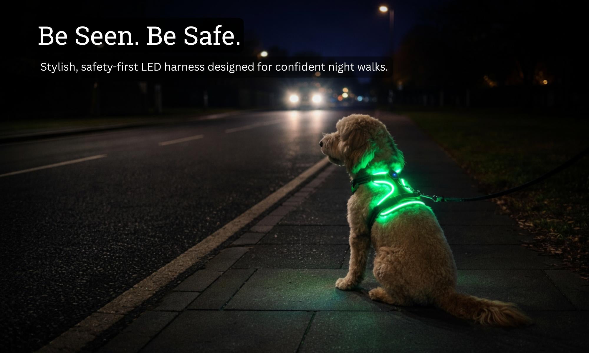 Dog wearing a green LED harness sitting on a sidewalk at night with text 'Be Seen. Be Safe.'