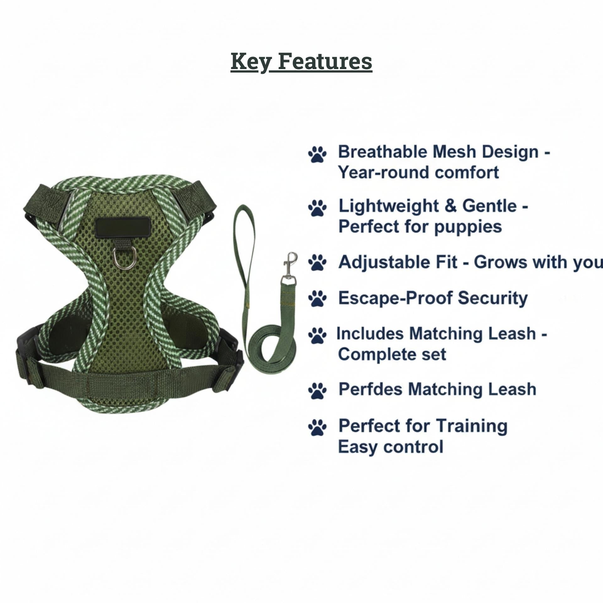 Green dog harness with matching leash on a white background, featuring key features text.