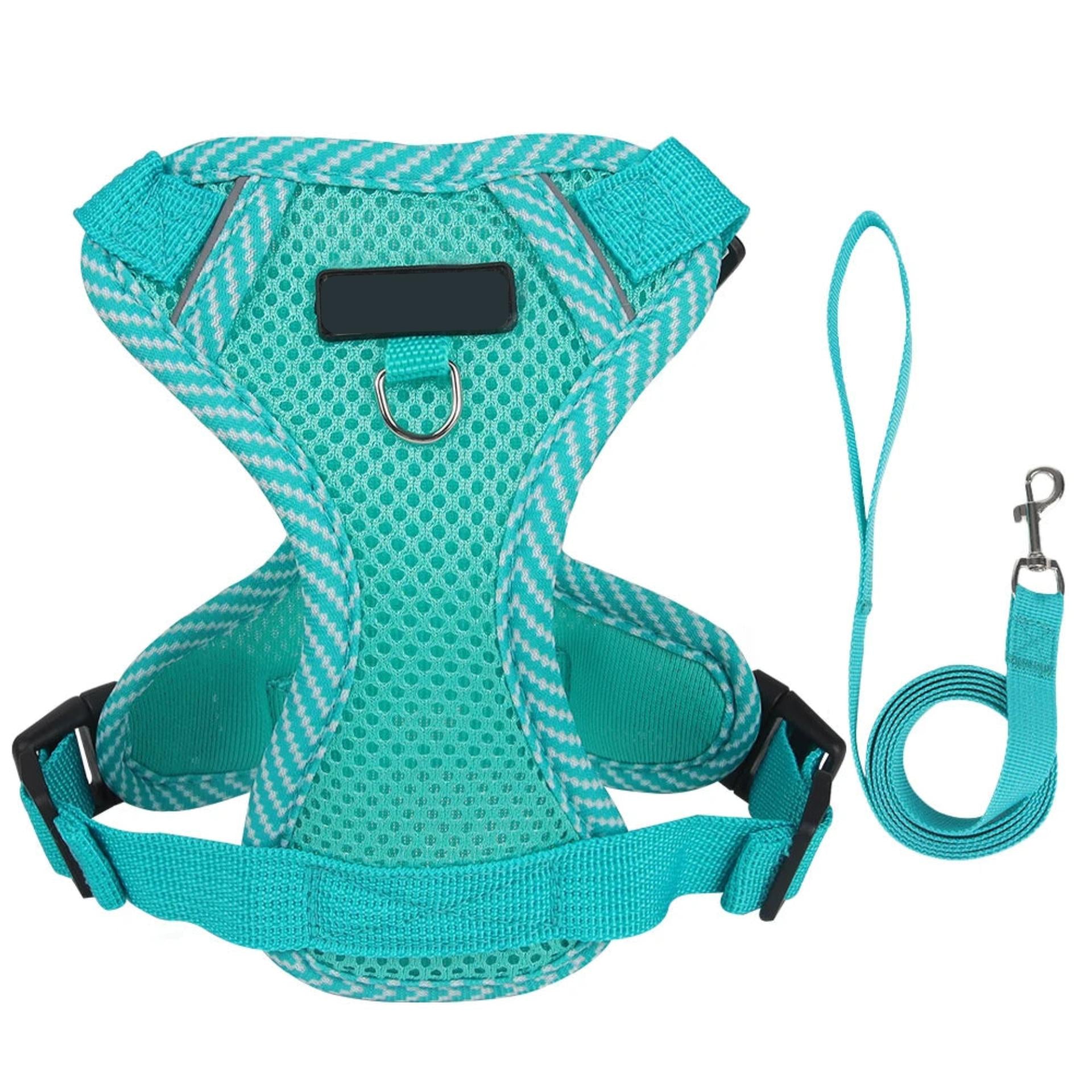 Turquoise dog harness and leash set on a white background