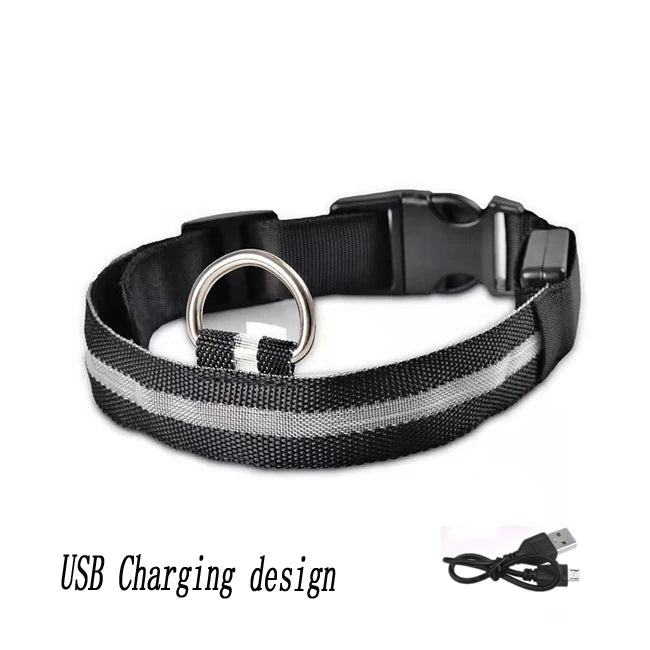 Black and gray dog collar with USB charging cable on a white background