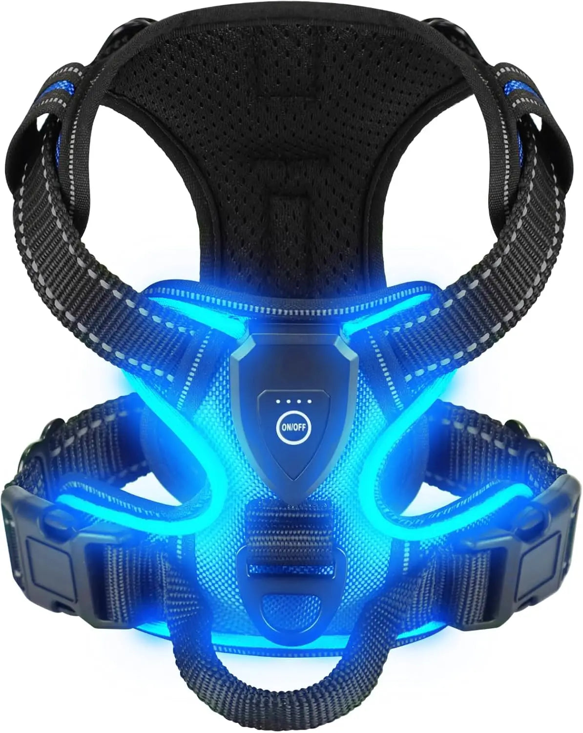 "Blue LED dog harness with rechargeable lights - waterproof illuminated harness for night walks"
