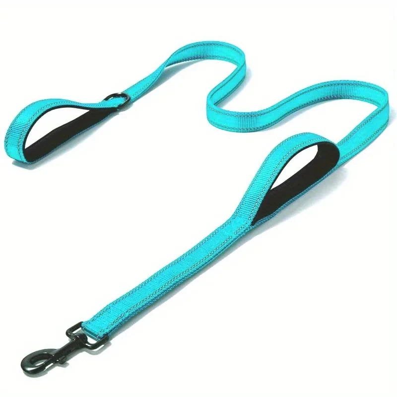 Turquoise dog leash with black clip on a white background