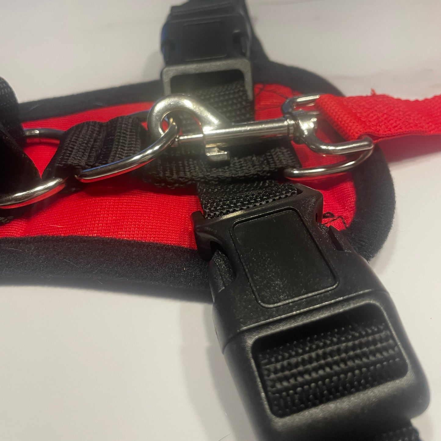 Red dog collar with black buckle and metal clasp on a white background