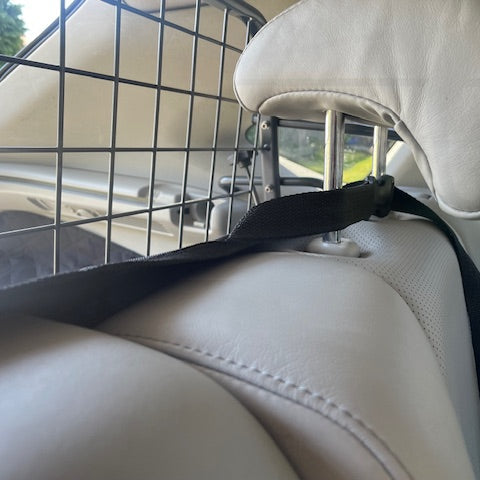 Close-up of a car seat with a pet crate and harness inside