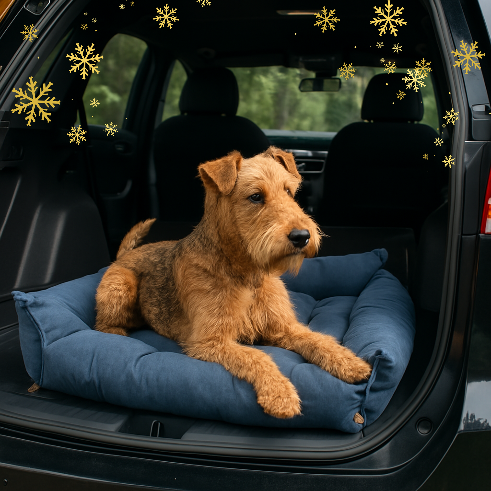 Dog lying on a blue pet bed in the back of a car with a forest view outside.