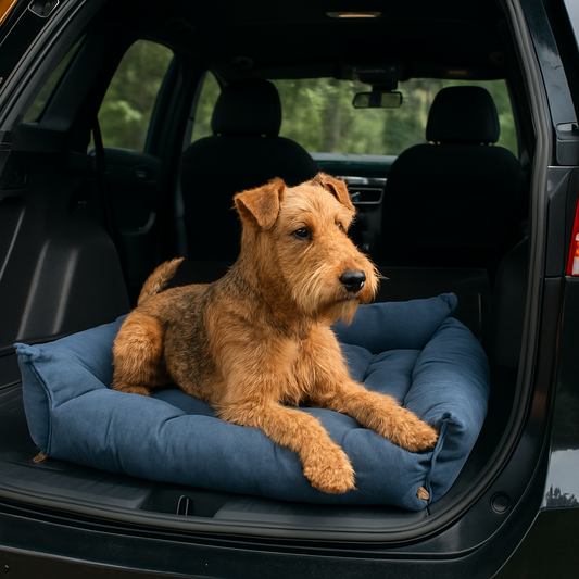 Dog lying on a blue pet bed in the back of a car with a forest view outside.