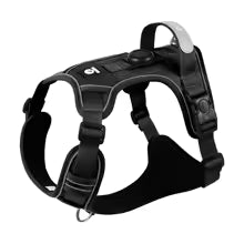Black dog harness on a white background