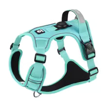 Turquoise dog harness on a white background