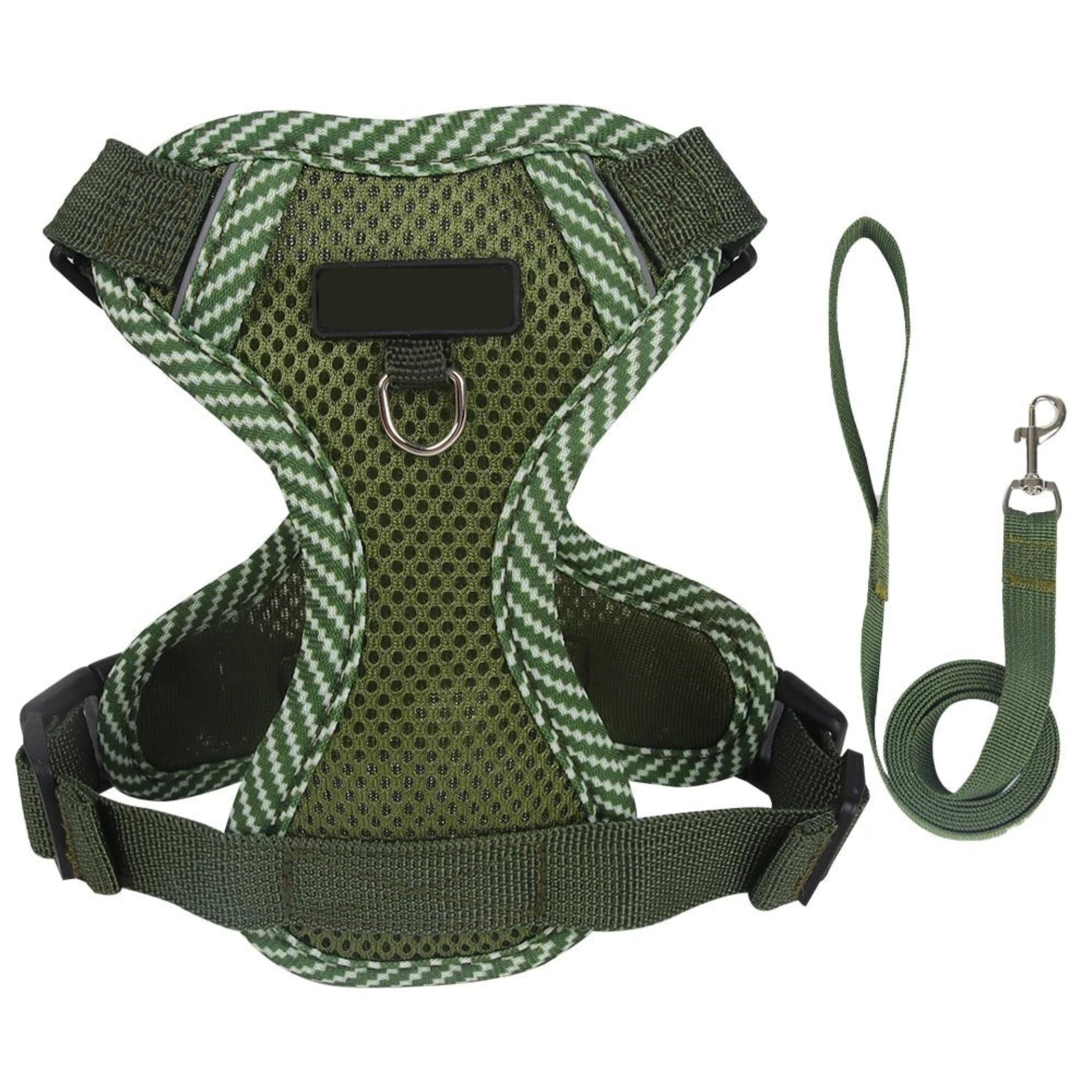 Green dog harness and leash set on a white background