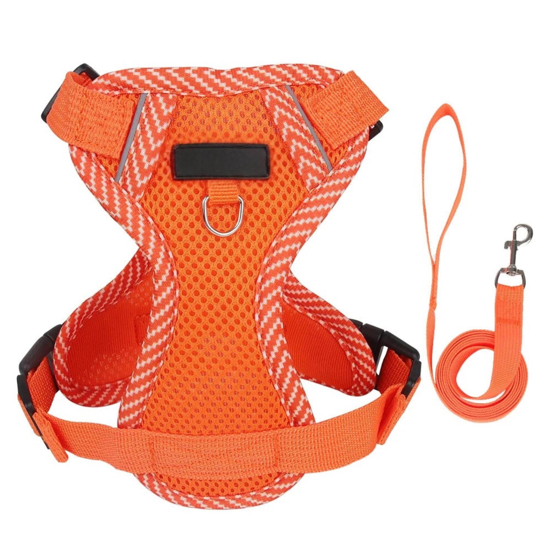 Orange dog harness and leash set on a white background