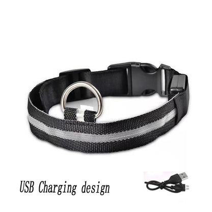 USB LED Dog Collar – Rechargeable Night Safety Light