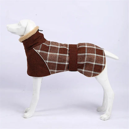 Dog wearing a brown plaid coat with a white background