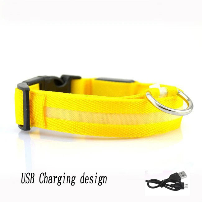 USB LED Dog Collar – Rechargeable Night Safety Light