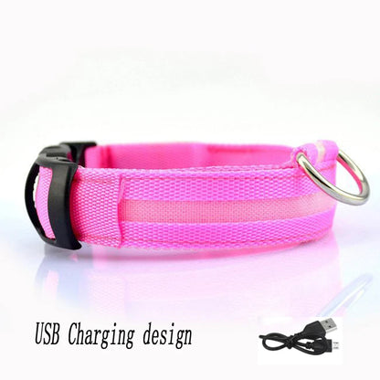 USB LED Dog Collar – Rechargeable Night Safety Light
