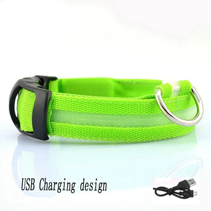 USB LED Dog Collar – Rechargeable Night Safety Light