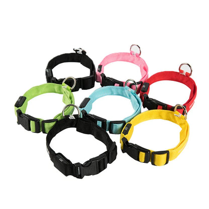 Set of colorful dog collars on a white background