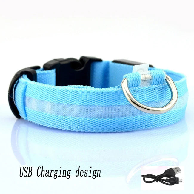 USB LED Dog Collar – Rechargeable Night Safety Light