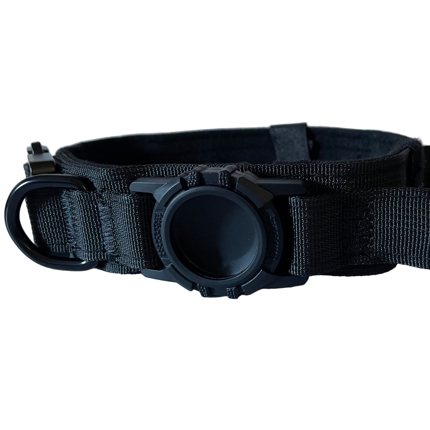 Black dog collar with a buckle on a light gray background