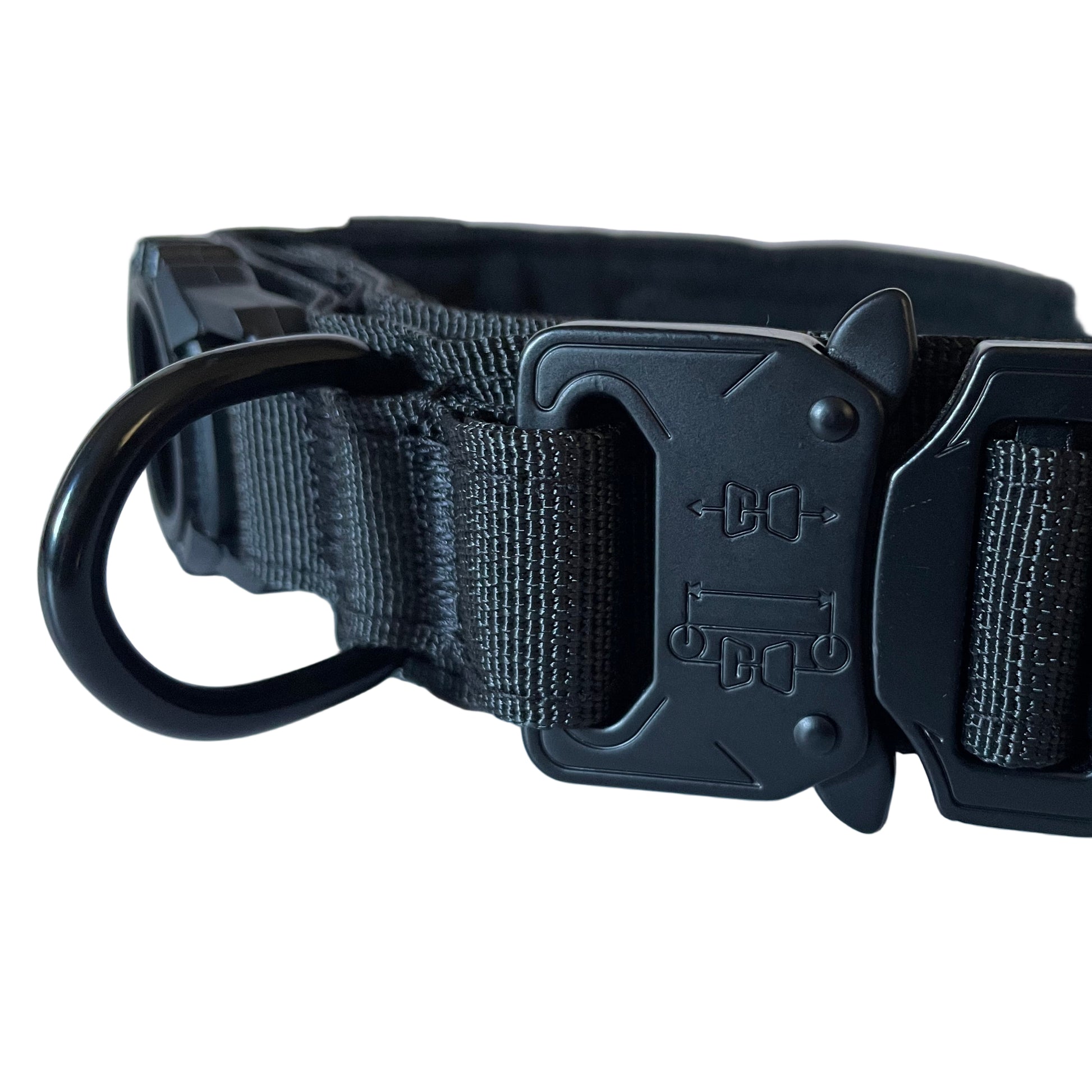Black dog collar with a buckle on a white background