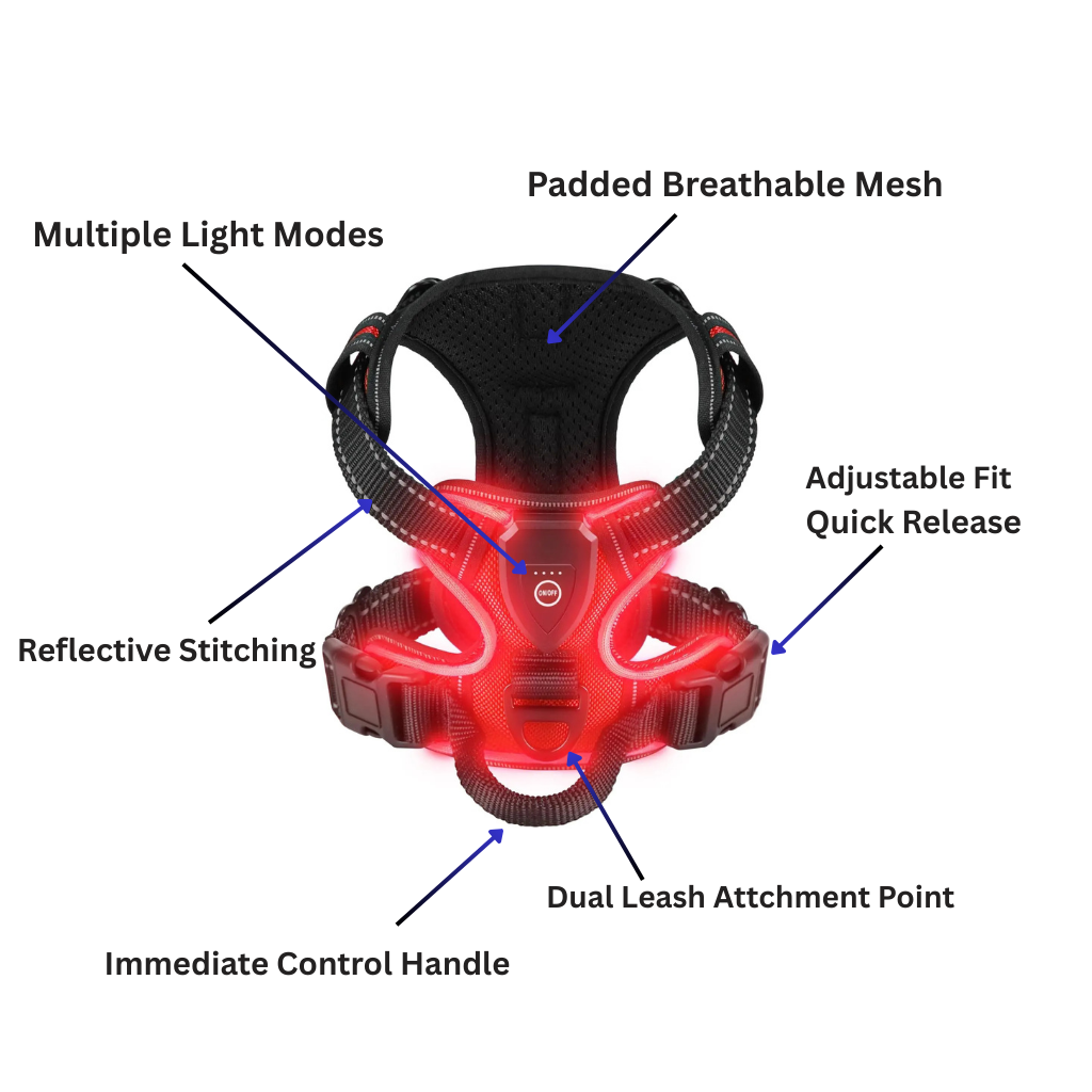 "LED dog harness features - adjustable straps, reflective strips, and rechargeable lights for night safety"