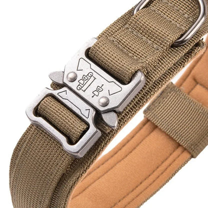 Heavy-duty dog collar for large dogs - Great Dane wearing navy training collar with quick-release buckle on outdoor walk