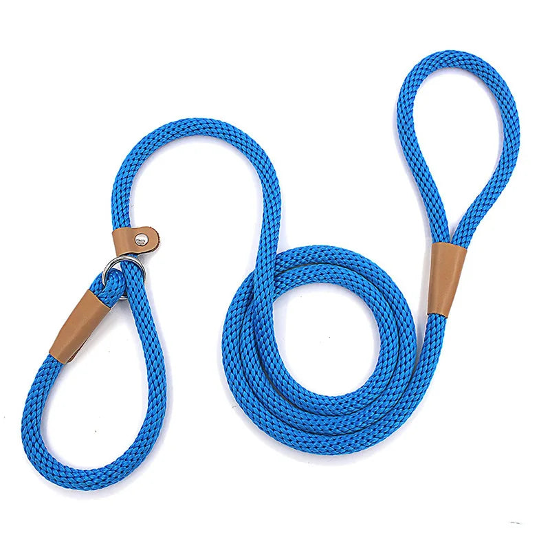 Nylon Slip Lead Dog Leash - No Pull Training Leash for Medium to Large Dogs