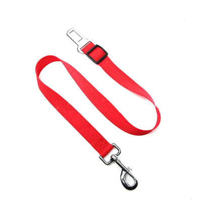 Red dog leash with a metal clip on a white background