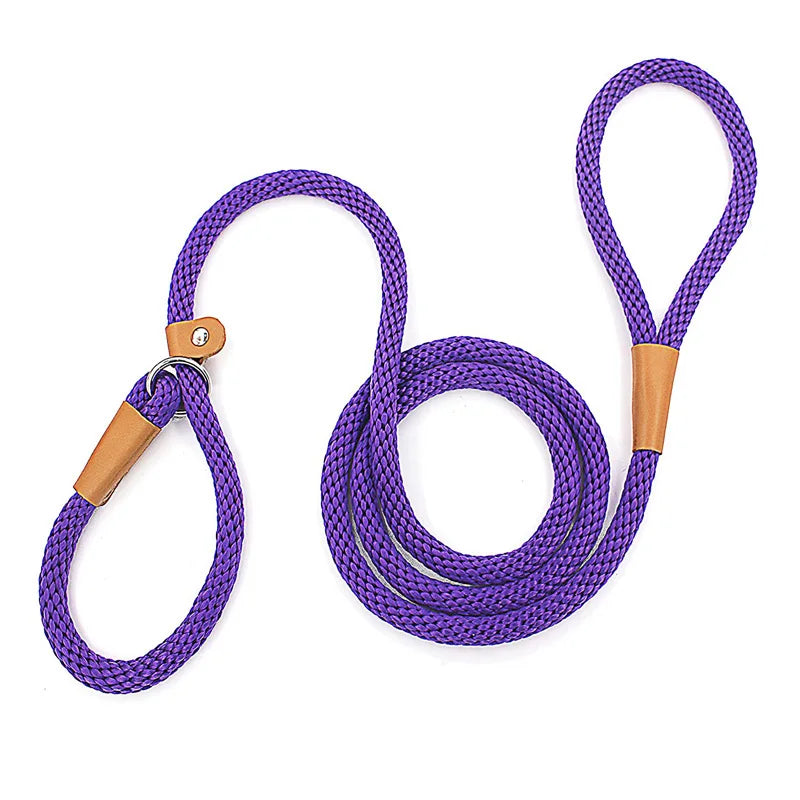 Nylon Slip Lead Dog Leash - No Pull Training Leash for Medium to Large Dogs