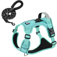 Teal dog harness with black leash on a white background