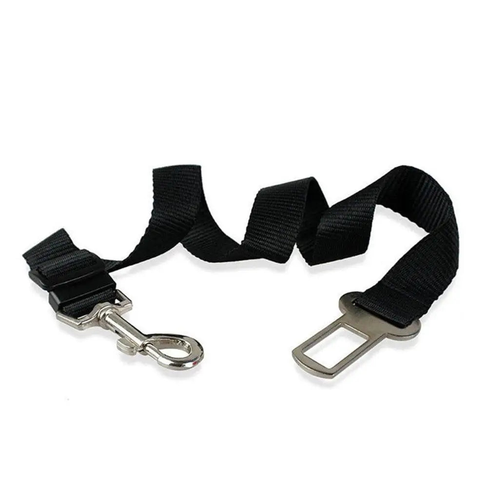 Black dog leash with metal clip and car seat belt adapter on a white background