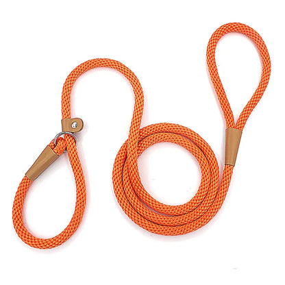 Nylon Slip Lead Dog Leash - No Pull Training Leash for Medium to Large Dogs