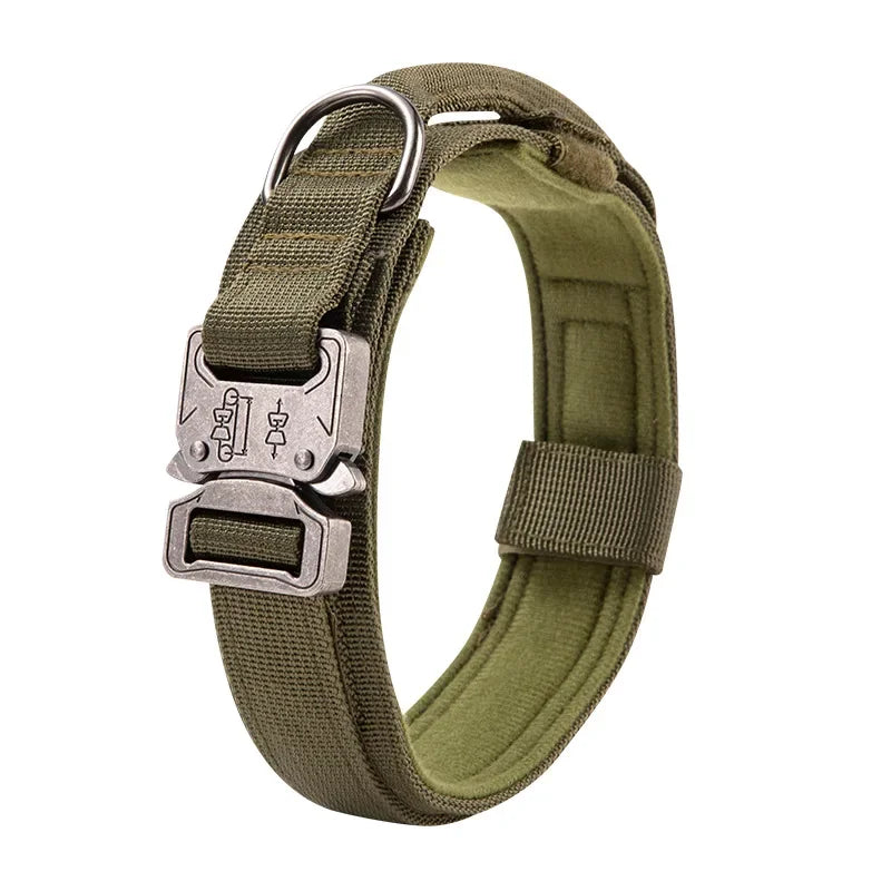 Olive Close-up of heavy-duty dog collar features - Reinforced stitching and durable hardware for training and control"