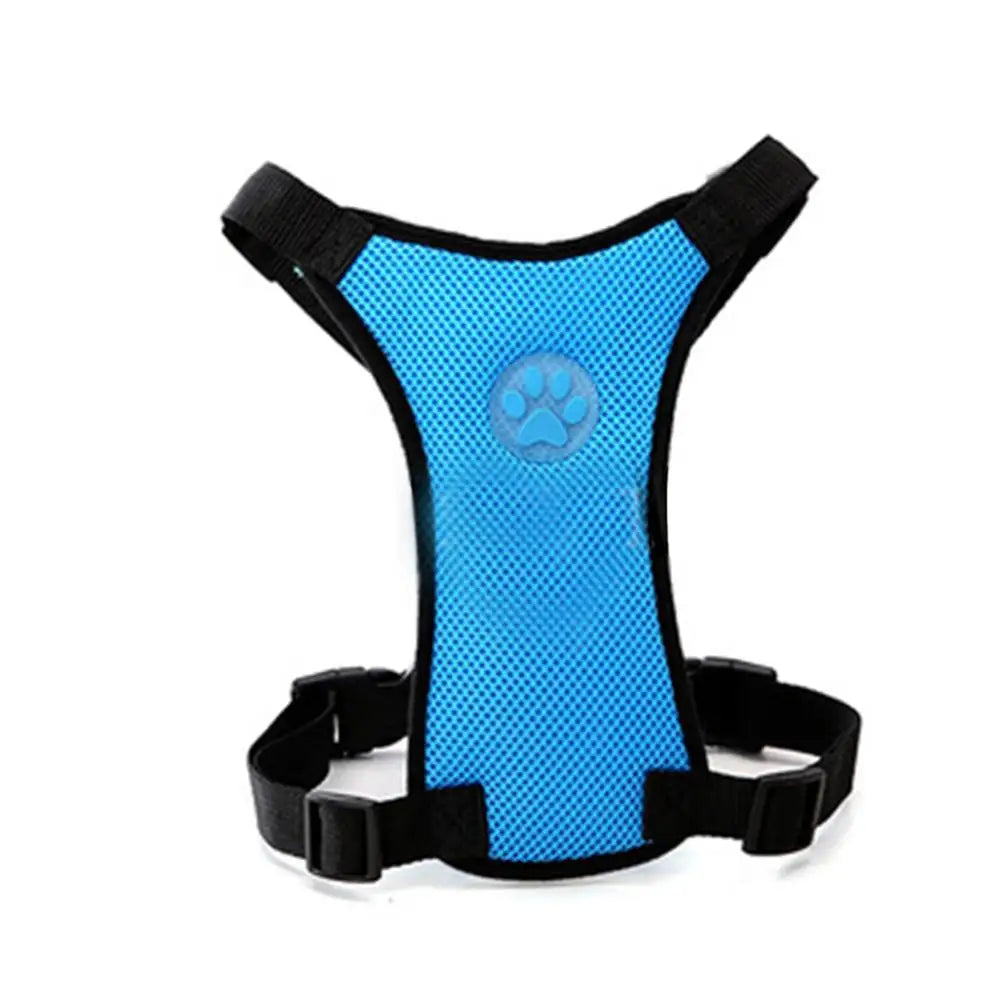 Blue dog harness with a paw print design on a white background