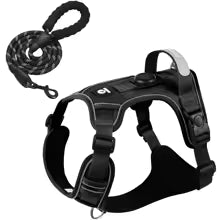 Black dog harness and leash set on a white background