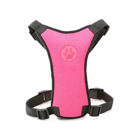Pink dog harness with black straps on a white background