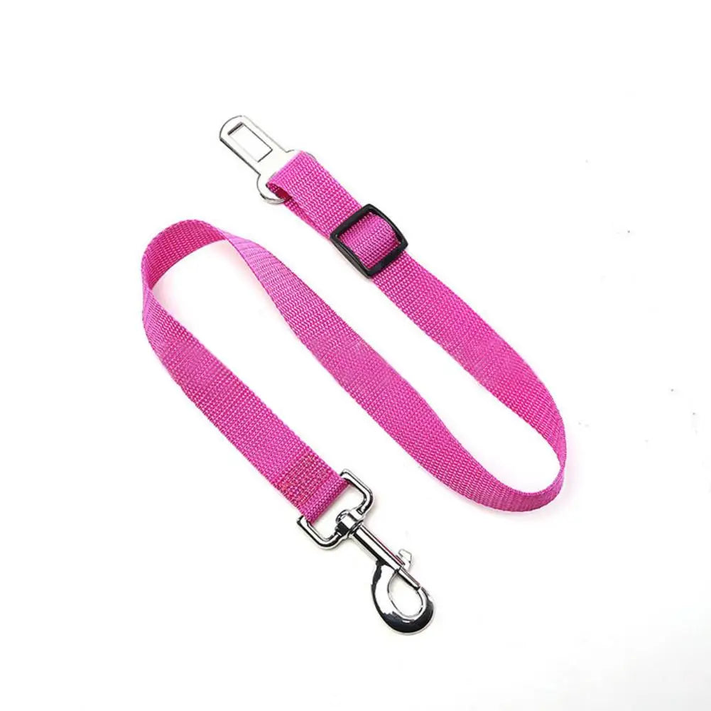 Pink dog leash with metal clip on a white background