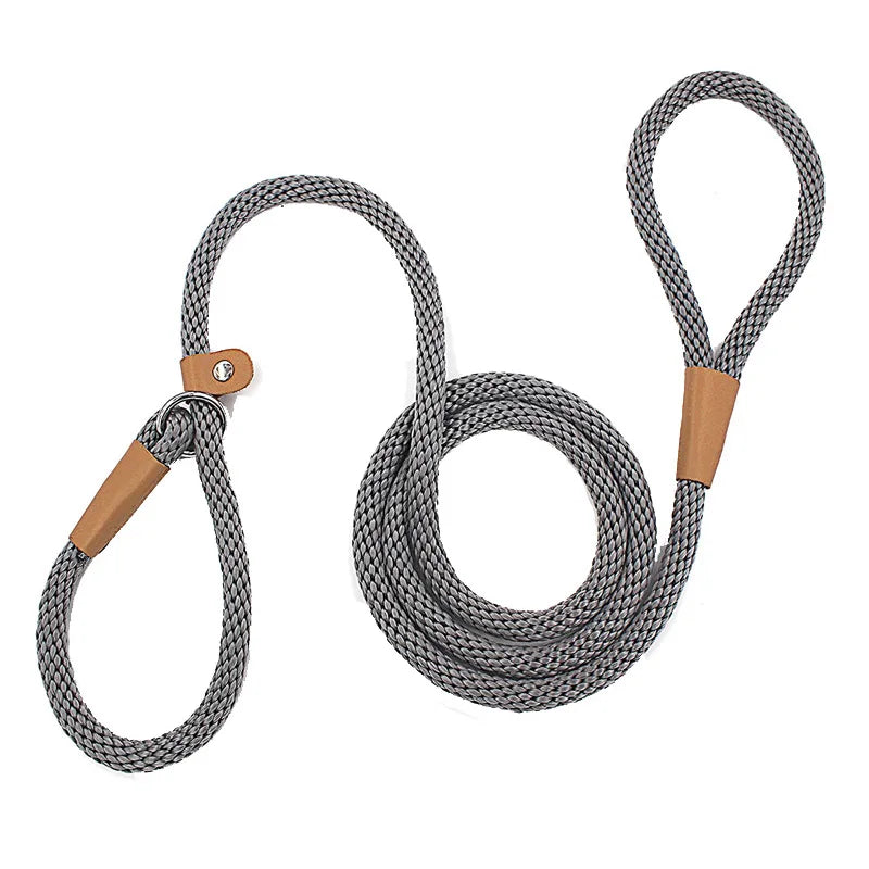 Nylon Slip Lead Dog Leash - No Pull Training Leash for Medium to Large Dogs