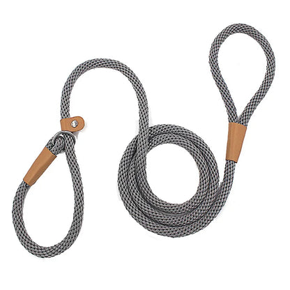Nylon Slip Lead Dog Leash - No Pull Training Leash for Medium to Large Dogs