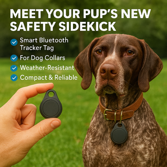Dog with a smart Bluetooth tracker tag held by a hand, set against a green outdoor background.