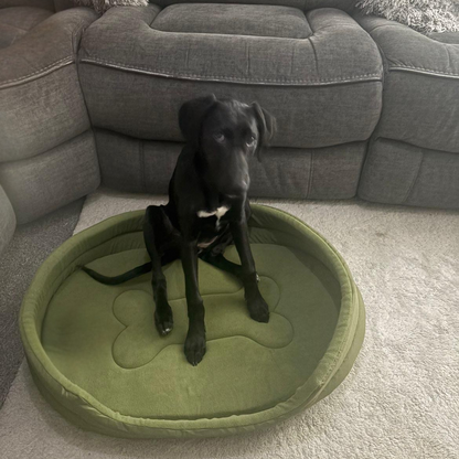 Black dog sitting on a green pet bed in front of a gray sofa.
