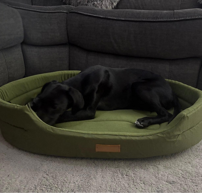 Black dog sleeping on a green pet bed in front of a gray sofa.