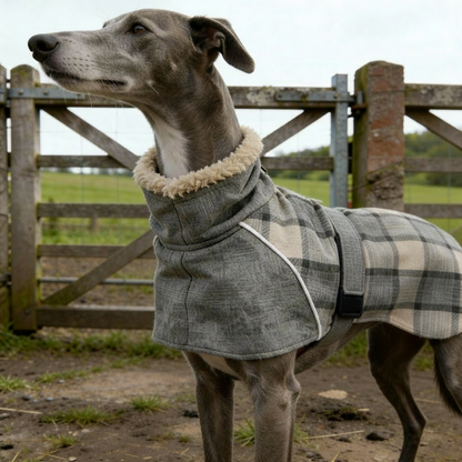 Dog coat with velcro belt
