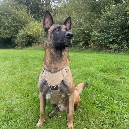 Enhanced Outdoor Lifestyle Shot