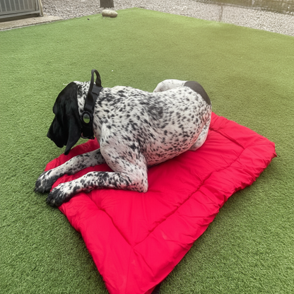 Enhanced Waterproof Pet Bed Cushion - Relaxing Dog