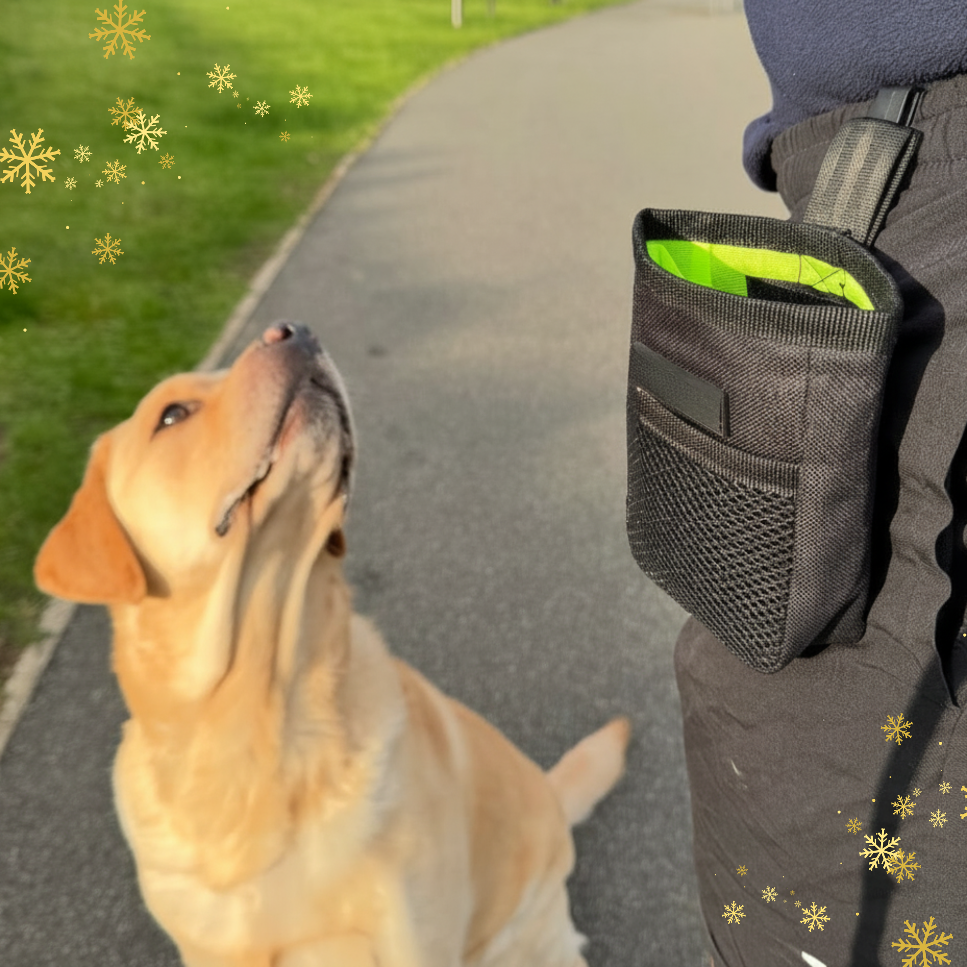 Resized square image of dog and treat pouch