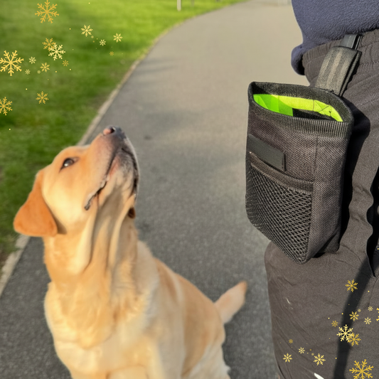 Resized square image of dog and treat pouch