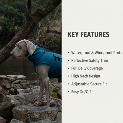 Waterproof dog raincoat with key features listed